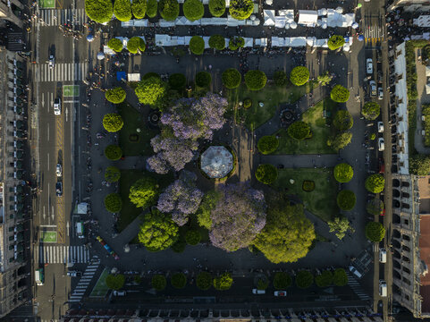 Aerial view of Plaza de Armas featuring a central gazebo, lush trees with purple blossoms, and surrounding historic colonial architecture in Morelia, Michoacan, Mexico.