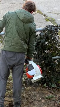 A man using a gas-powered handheld leaf blower to clean debris from a garden fence, demonstrating regular yard maintenance and seasonal outdoor cleaning process work. Vertical