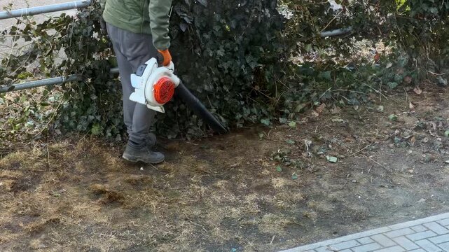 A worker using a leaf blower to clear debris near a garden hedge, capturing seasonal grounds maintenance and landscaping tasks performed with professional power equipment outdoors
