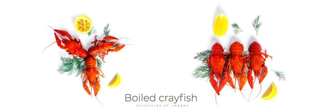 Boiled crayfish with dill and lemon isolated on a white background.