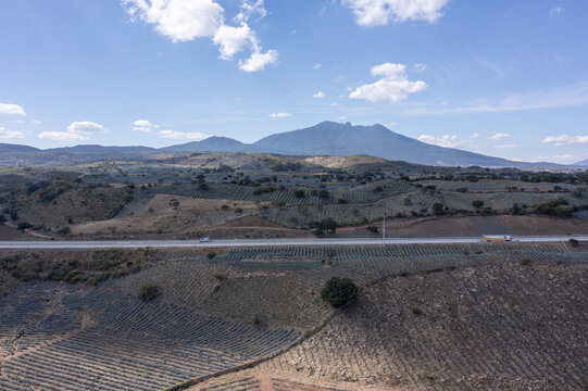 Aerial view of the agave landscape with rows of blue agave plants, rolling hills, and a distant mountain under a blue sky in Tequila, Jalisco, Mexico.
