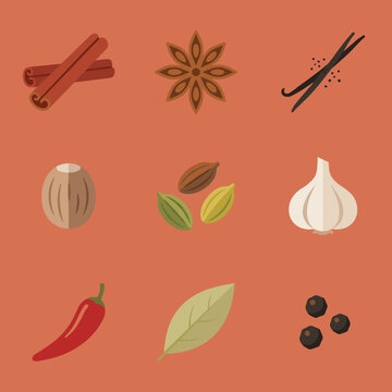 Culinary spices and aromatic baking ingredients collection set including cinnamon star anise and chili