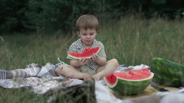 Little boy sitting on picnic blanket and eating juicy watermelon