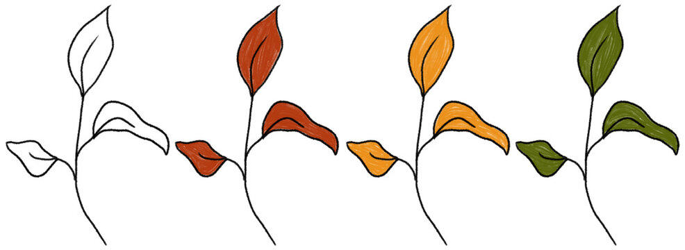 Various plants are displayed showing different colors representing different seasons. Each plant has distinct leaves that show change through the seasons.