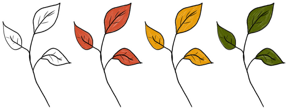 Many plants that represent different seasons. Each plant has unique colors, highlighting the changes in nature through the year.