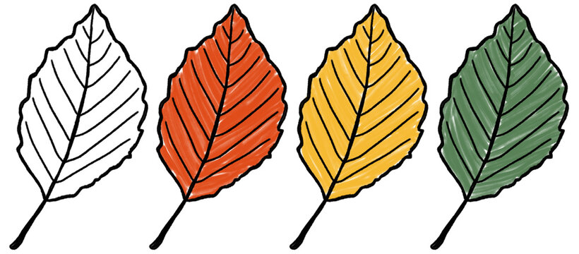 Several plants are depicted against a transparent background. Each plant showcases the colors and characteristics of different seasons. The focus is on the plants' leaves.