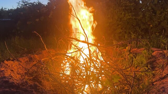 a bright evening bonfire in a large pit . High quality 4k footage