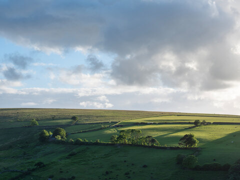 beautiful landscape with trees, grazing horses and fields seen from dartmoor hills in devon