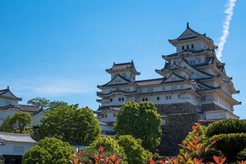Naklejka premium Himeji Castle (