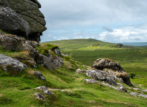 hills and rocks in national poark dartmoor on sunny day in spring