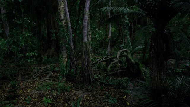 Dusk settles over mosscovered forest with solitary birch trunks. Naturalist sketches bark patterns of trees standing silently on moisturerich soil