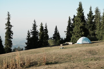 White camping tent pitched on a grassy mountain hill surrounded by pine trees © 현주 정