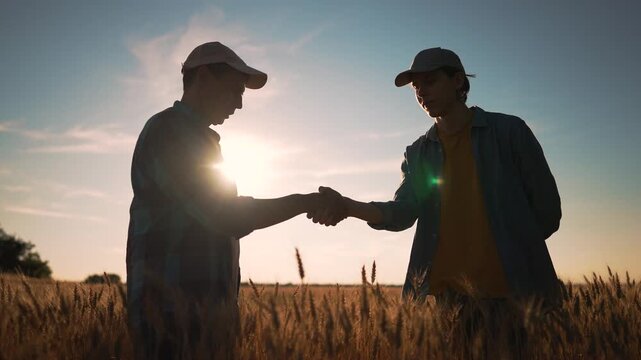 Two farmers shaking hands in wheat field at sunset. Business partners greeting in agriculture farm. Handshake deal agreement between growers outdoors. Cooperation partnership in rural farmland.
