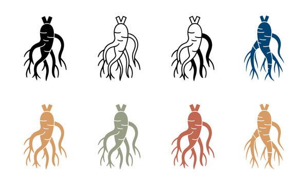 Ginseng root botanical ingredient icon set with medicine botanical supplement collection
