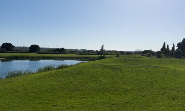 Vibrant green golf course landscape with mature trees under a clear blue sky 