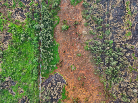 Aerial view of scorched earth and burnt vegetation contrasting with lush green forest separated by a narrow drainage canal in the peatland area of Banjarbaru, South Kalimantan, Indonesia.