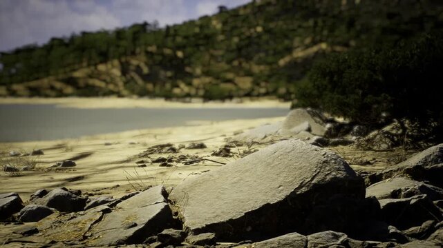 Rugged shore under brooding sky, dark clouds rolling over treelined ridge, windswept sand and scattered rocks, dramatic contrast, sense of urgency