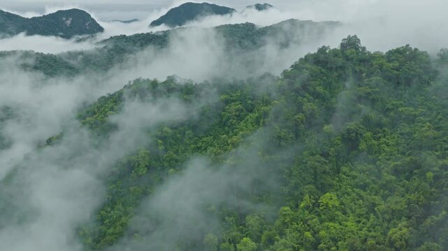 Misty Mountain Forest at Dawn with Distant Peaks