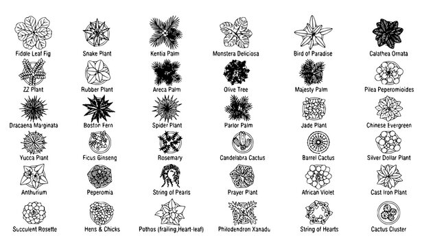 : Set of Different House Plants Top View Vector CAD Blocks for Architectural Floor Plans