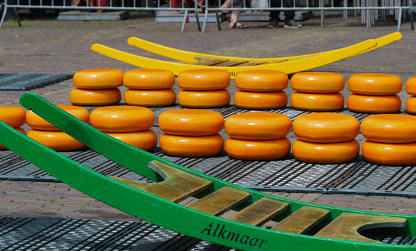 Alkmaar Cheese Market with Gouda Wheels and Traditional Carriers