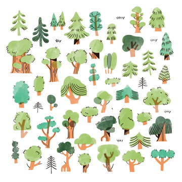 Hand-Drawn Watercolor Tree Collection Forest Trees Illustration Set With Line Art
