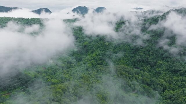 Thick Clouds Over Lush Green Mountain Forest in Morning
