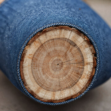 Traditional Japanese Texture Jeans. Detailed Close-Up Of End Grain Of A Felled Tree, Highlighting Cool Blue Denim Texture And Rough Organic Rings