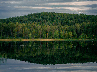 Calm lake reflecting a dense green forest and cloudy evening sky in northern Sweden. © HelenaUpNorth
