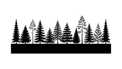 Black pine tree forest silhouette against  © MD. HASAN ALI