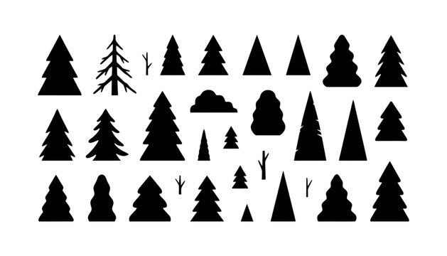 Collection of Black Pine Tree Silhouettes with Transparent Background fir tree evergreen forest