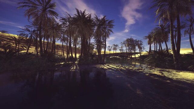Reflective kharga oasis twilight pool with palm shadows over glassy water surface, hush of evening, contemplative vibe suited for meditation retreats and slow