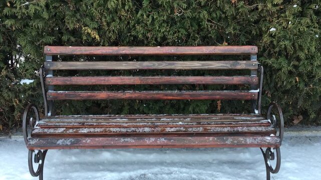Brown wooden bench being covered with fresh flying snowflakes standing isolated in front of Thuja hedge in park alley and footsteps of recent visitors; video instilling seasonal calmness, coziness