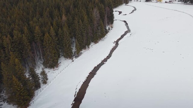 Winter Wonderland River: A winding river carves its path through a snow-covered landscape, bordered by a dense forest of pine trees, evoking a sense of serene solitude and the stark beauty of winter.