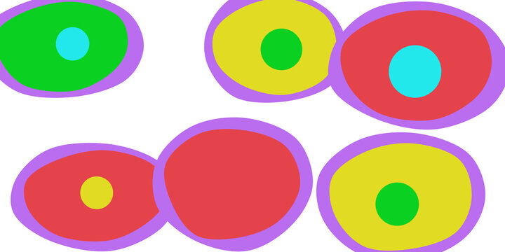 Organic cell shapes with contrasting colorful nuclei