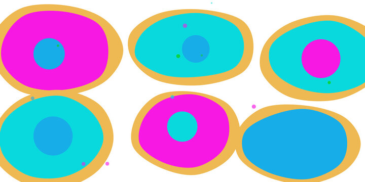 Brightly colored biological cell structures with nuclei