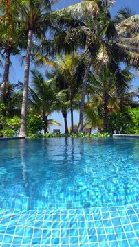 Tropical Resort Pool with Palm Trees. Tropical resort swimming pool with clear blue water and palm trees on a sunny day.