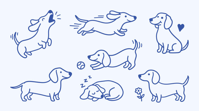 Set of cute dachshund dogs in different poses, hand drawn vector illustration