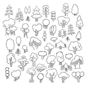 Hand-Drawn Tree Line Art Set &ndash; Pencil Sketch Forest Trees Coloring Illustration Artwork Repeat Pattern 