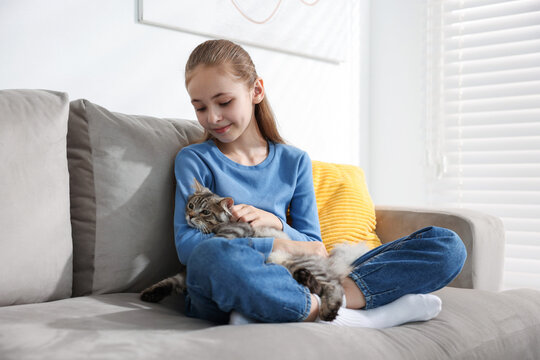 Little girl stroking her cute cat on sofa at home