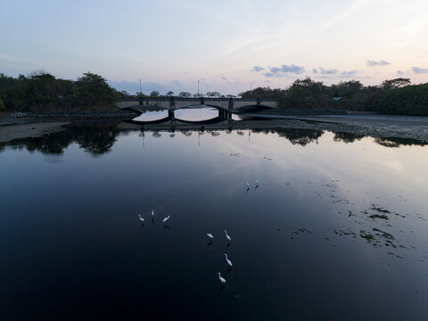 Aerial view of Serangan Sakenan Bridge over calm water with white egrets swimming in the tranquil bay during twilight in Kecamatan Denpasar Selatan, Bali, Indonesia.