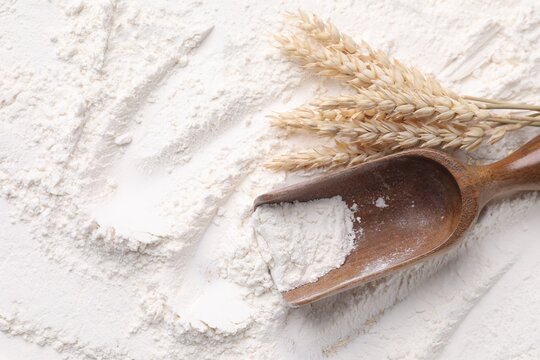 Scoop and wheat spikes on flour, flat lay. Space for text