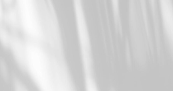 Minimal white background with soft natural leaf shadows. Elegant abstract texture with copy space, perfect for branding, social media, banners, product displays, and modern design