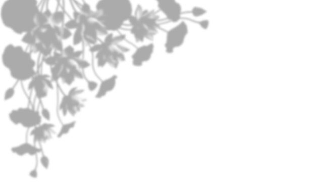 Shadow of hanging flowers isolated on transparent background