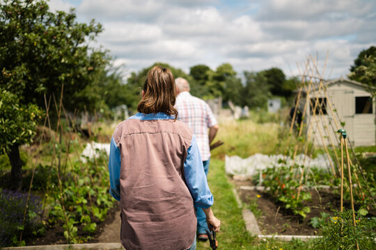 Heading back through the garden
