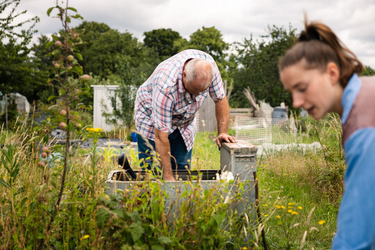 A senior man sorting garden supplies in his allotment
