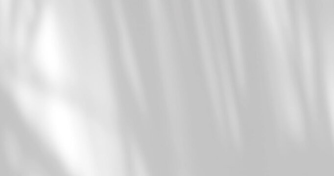 Minimal white fabric background with soft natural light and elegant shadows. Clean abstract texture with copy space, ideal for banners, branding, presentations, and design