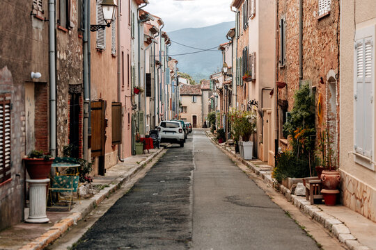Quiet Street, Between Shutters and Pots