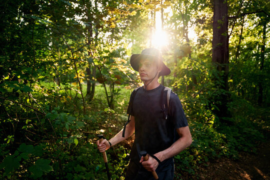 Hiking in the Forest With Sunlight Shining Through Trees