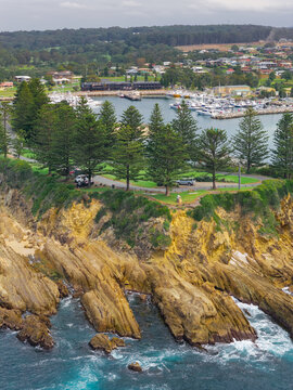 Pine trees on a coastal reserve above a rocky coastline below