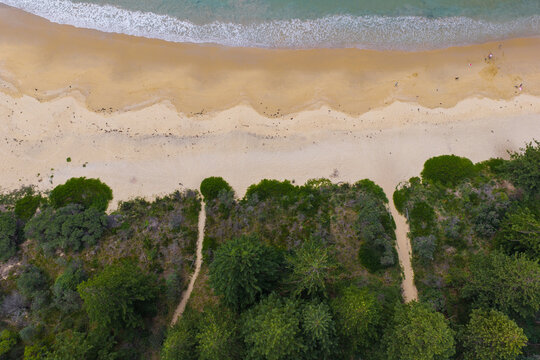 Tracks through coastal vegetation onto a pristine deserted sandy beach